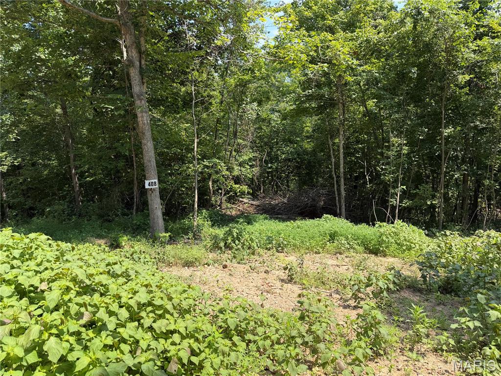 #408 Madison 410 Property Photo 1