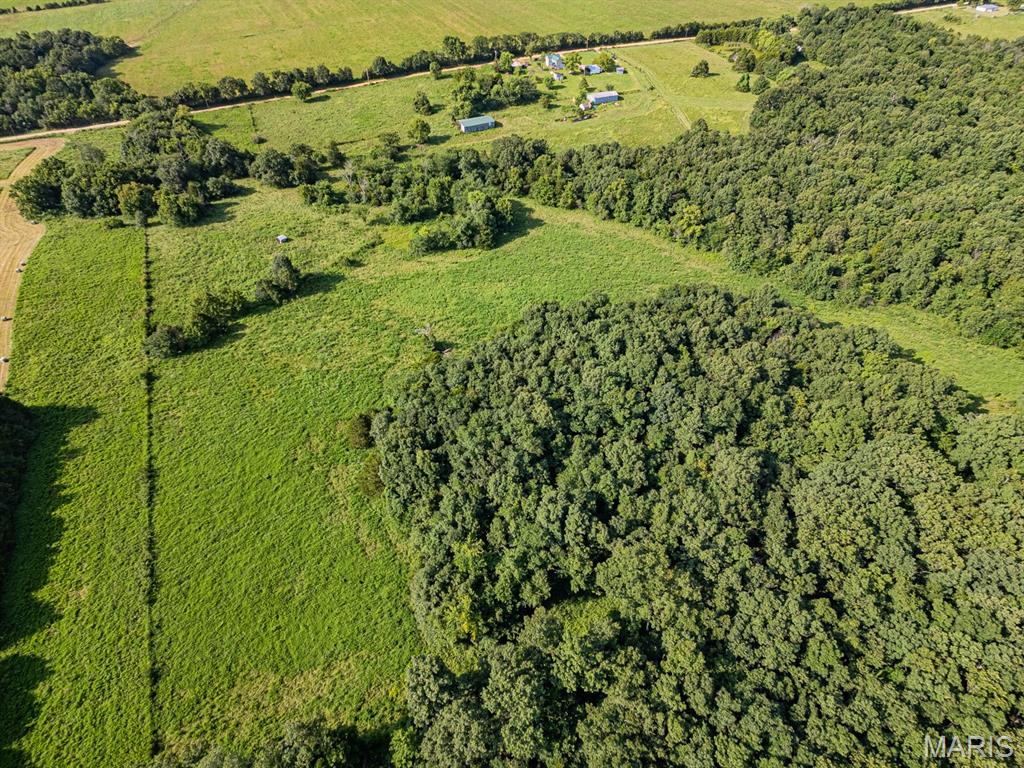 22307 County Road 450 Property Photo 11