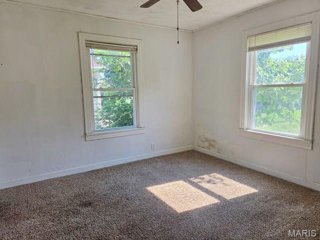 1907 E Parkview Property Photo 18
