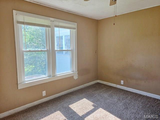 1907 E Parkview Property Photo 20