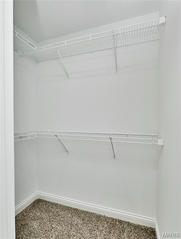 131 Peruque Creek Manor Property Photo 52