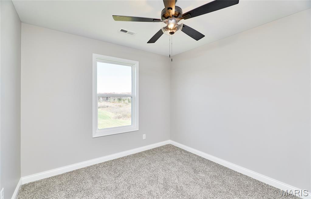 127 Peruque Creek Manor Property Photo 45
