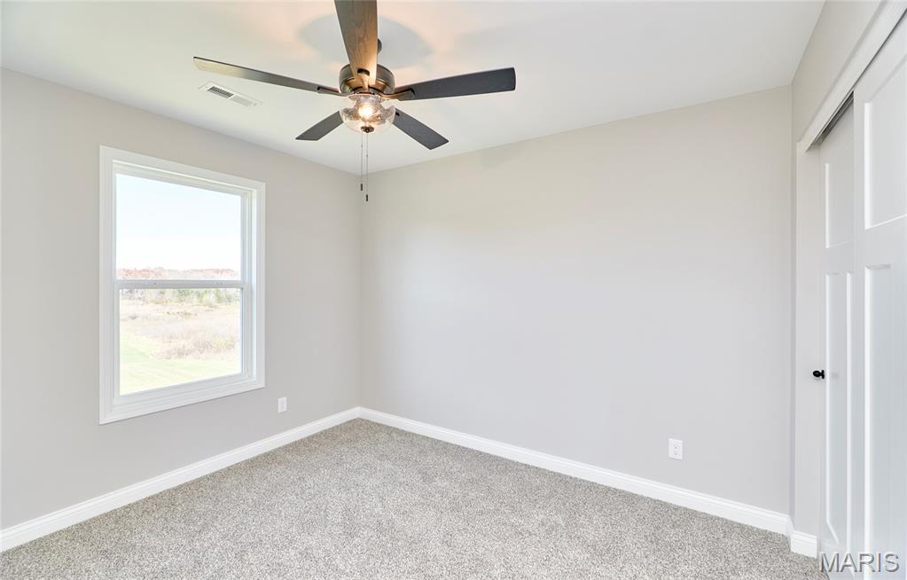 127 Peruque Creek Manor Property Photo 46