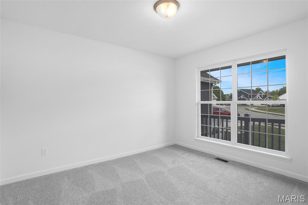 108 Cardinal Flower Drive Property Photo 19