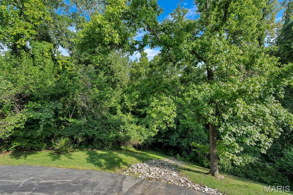 417 Meramec Way 4 Property Photo 19