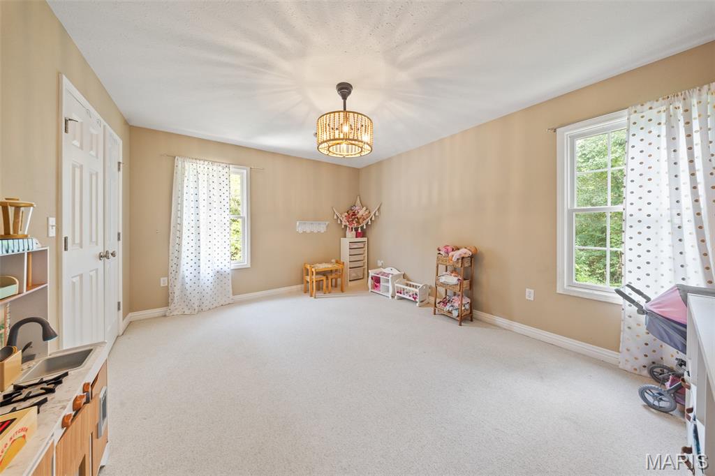 11891 Pine Forest Drive Property Photo 31