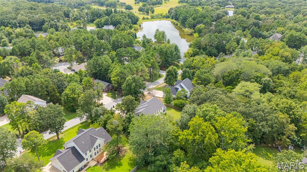 11891 Pine Forest Drive Property Photo 61