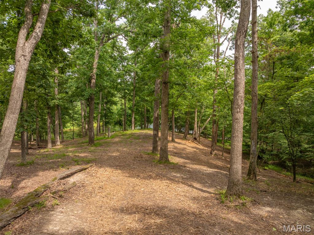 463 Foxfire Crossing Drive Property Photo 1