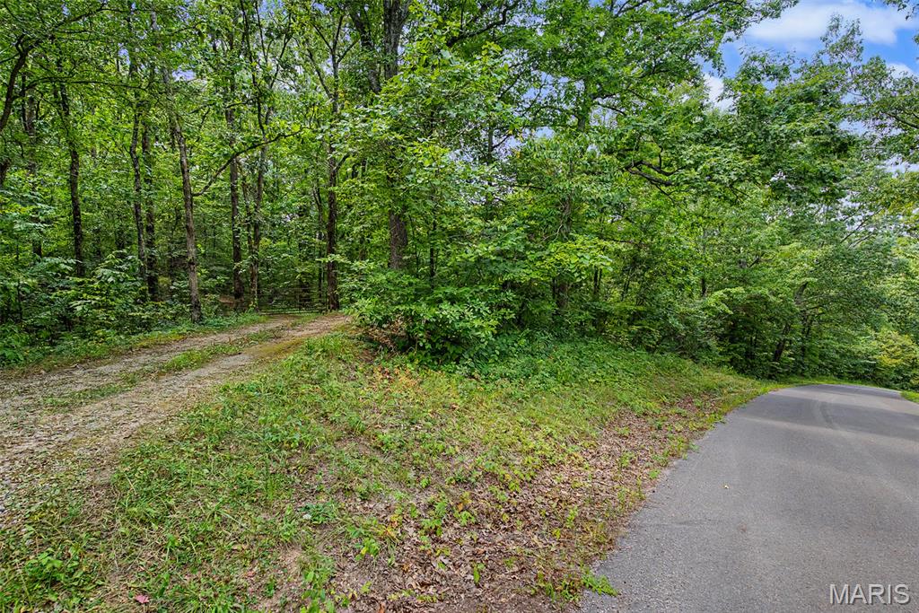 0 County Road 535 Property Photo 16