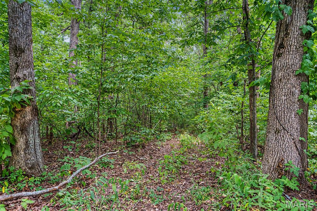 0 County Road 535 Property Photo 19