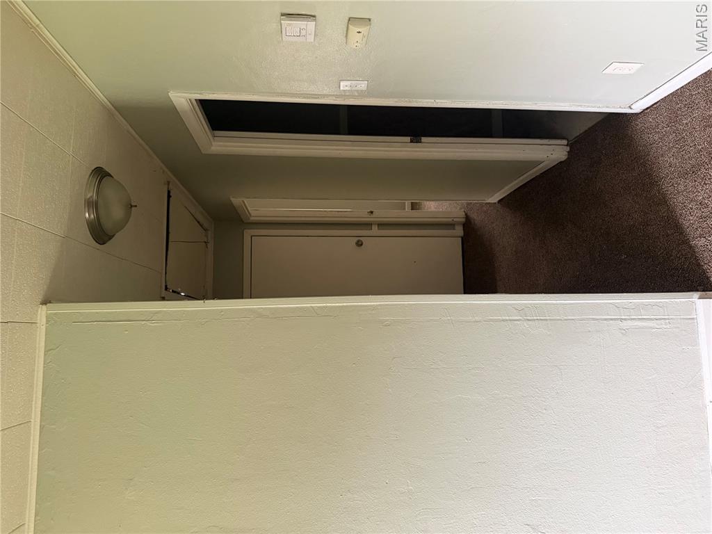 127 Donald Street Property Photo 11