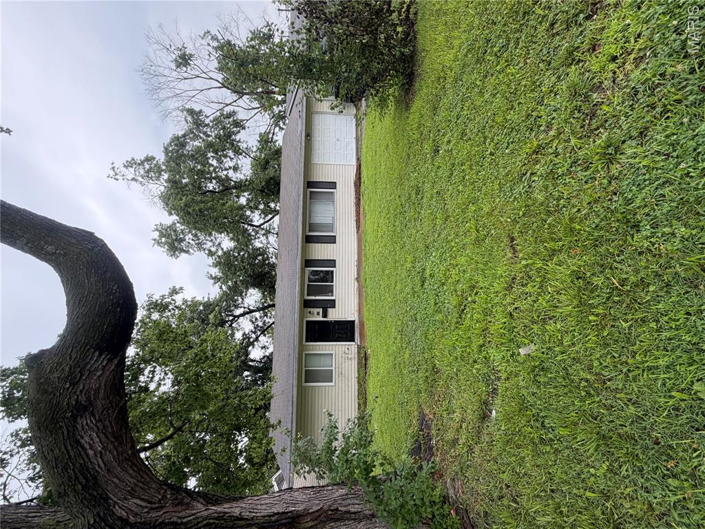 127 Donald Street Property Photo 16