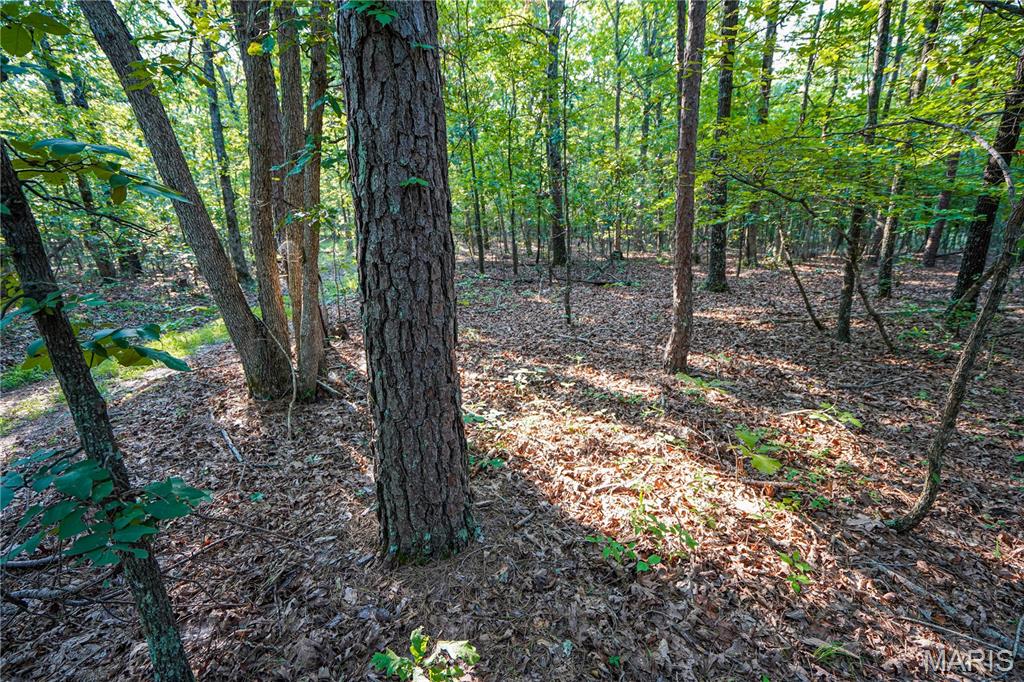 001 Bb Highway Property Photo 18