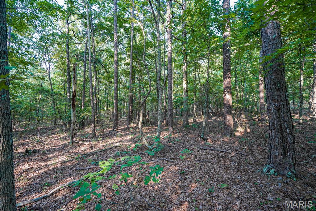 001 Bb Highway Property Photo 20