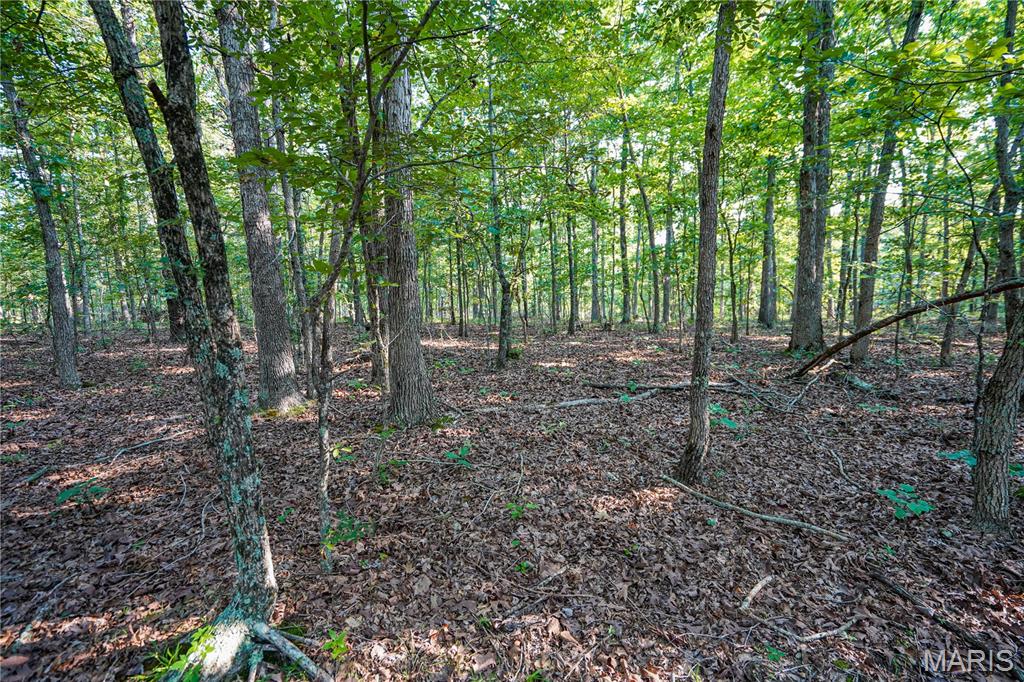 001 Bb Highway Property Photo 23