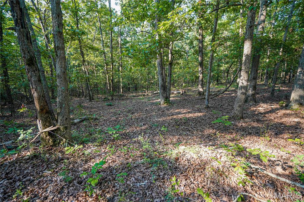 001 Bb Highway Property Photo 24
