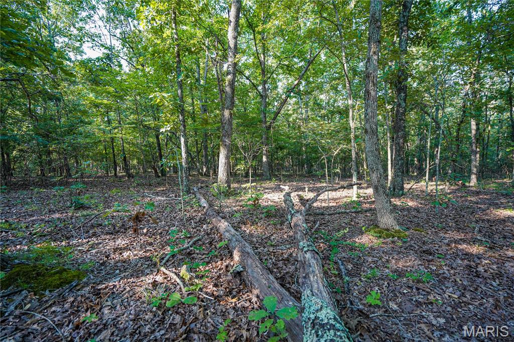 001 Bb Highway Property Photo 25