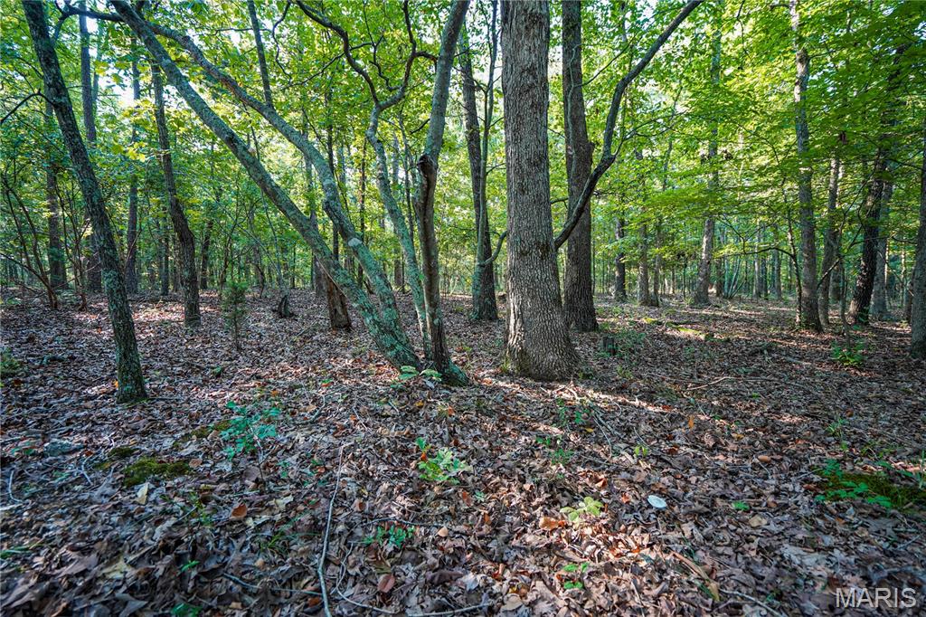 001 Bb Highway Property Photo 26