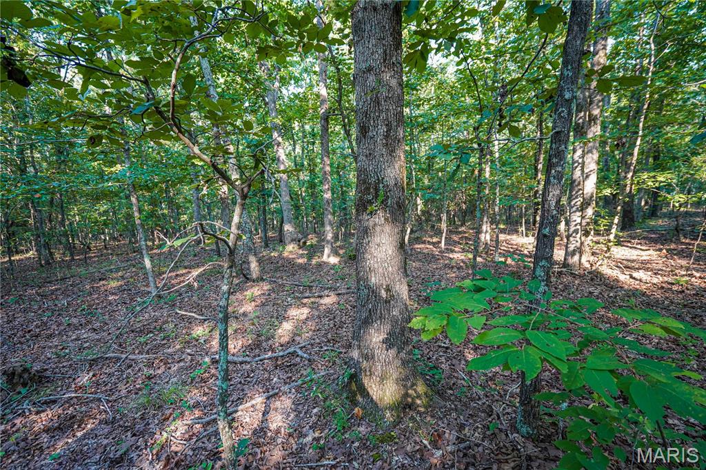 001 Bb Highway Property Photo 27
