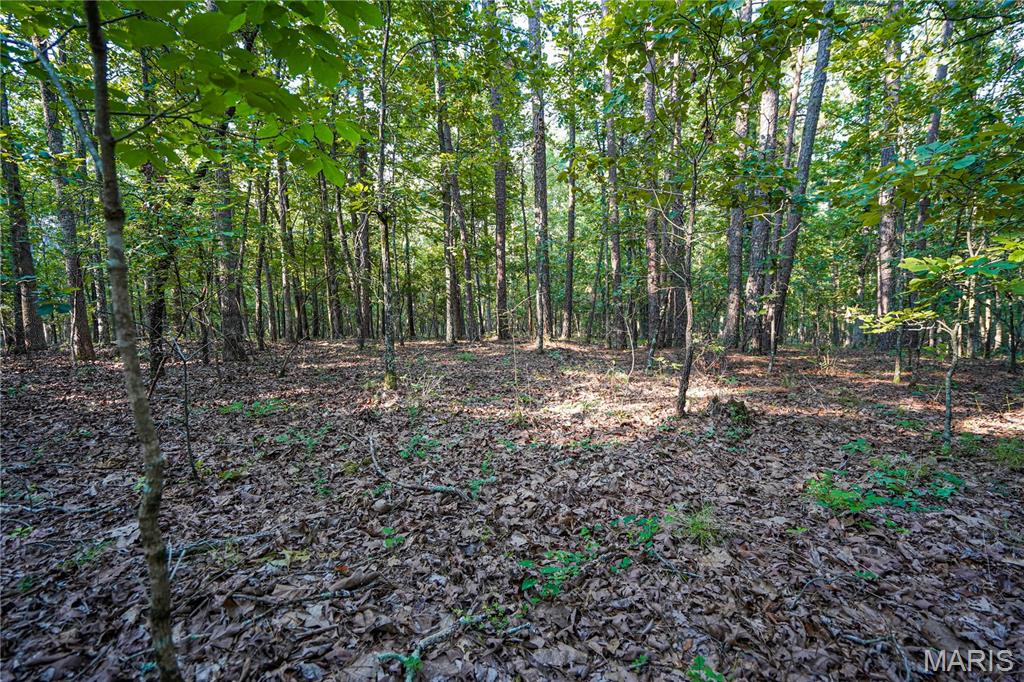 001 Bb Highway Property Photo 30