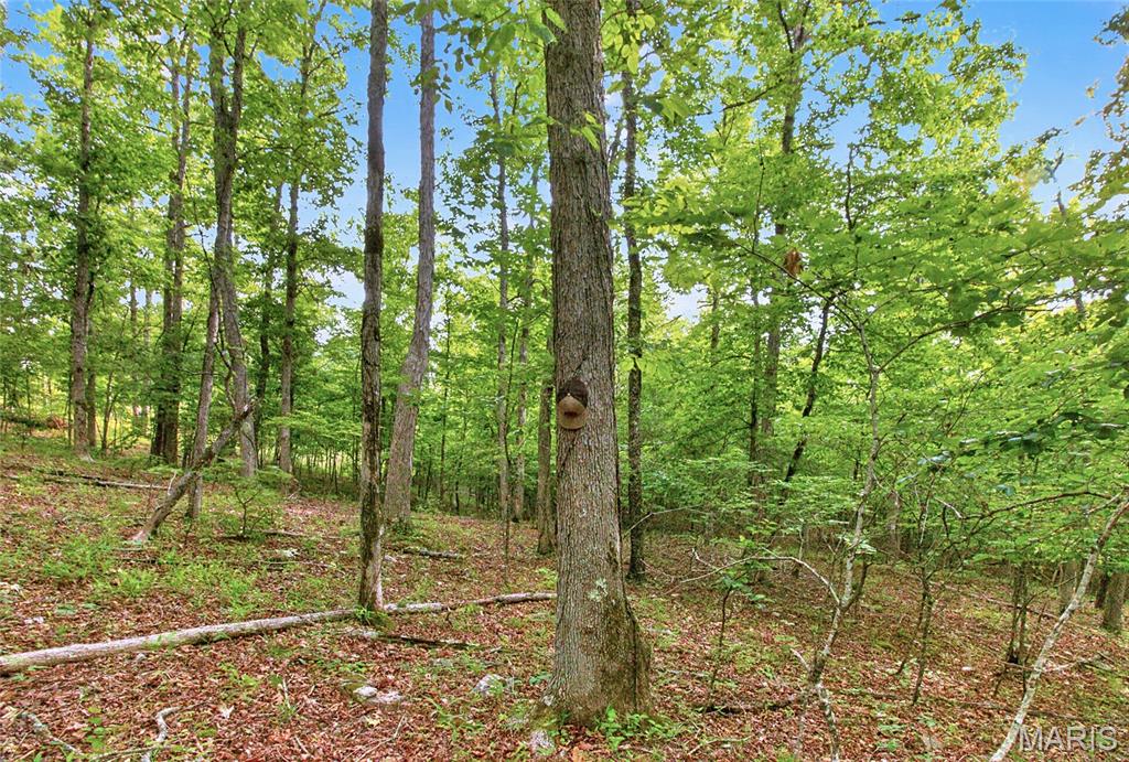 001 Bb Highway Property Photo 31