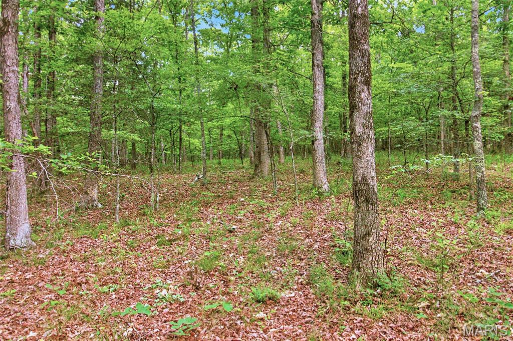 001 Bb Highway Property Photo 32