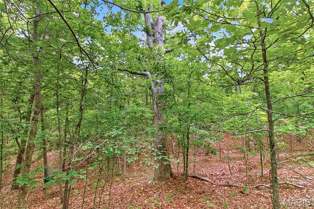 001 Bb Highway Property Photo 33