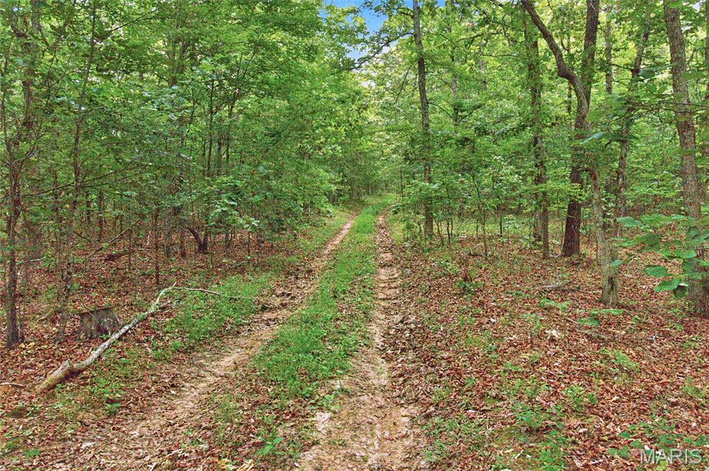 001 Bb Highway Property Photo 34