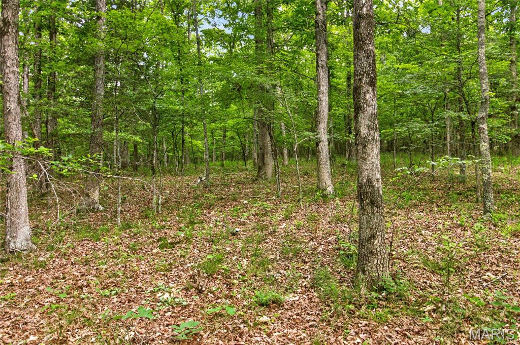 001 Bb Highway Property Photo 35