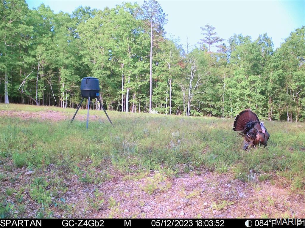 001 Bb Highway Property Photo 41