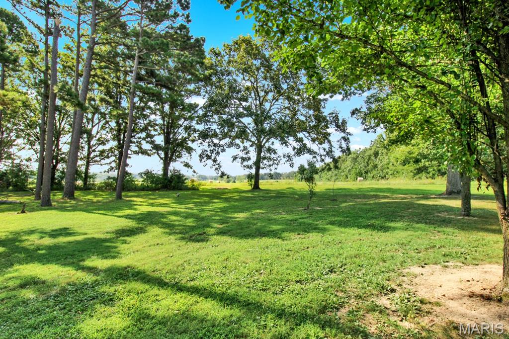 16461 Highway 63 Property Photo 6