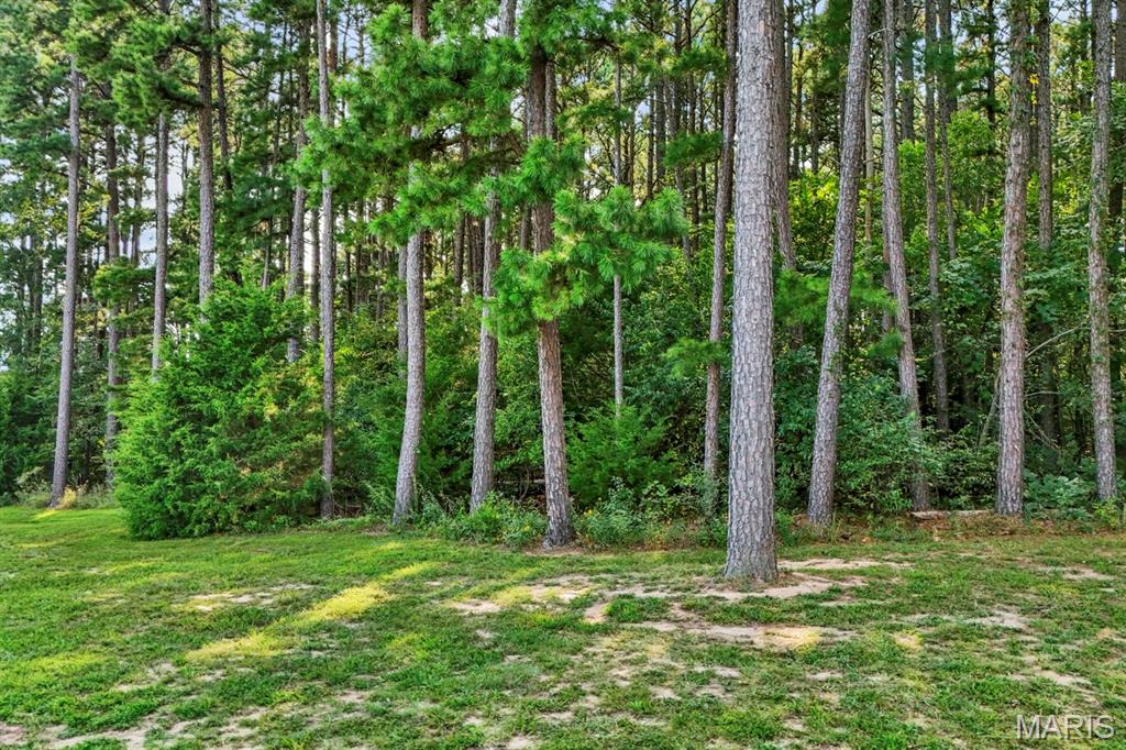 16461 Highway 63 Property Photo 9