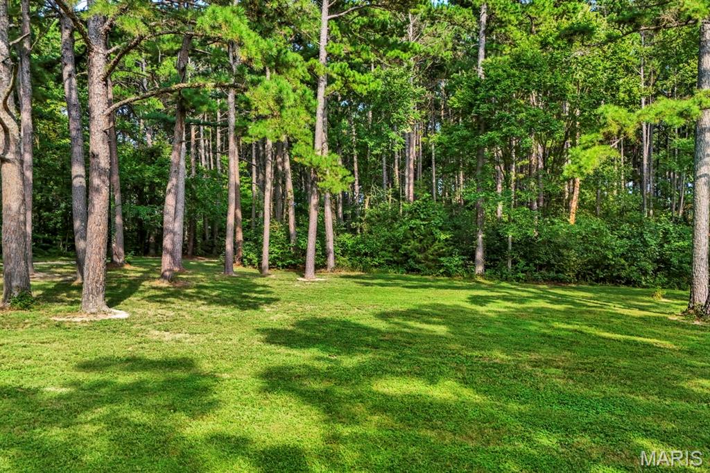 16461 Highway 63 Property Photo 18