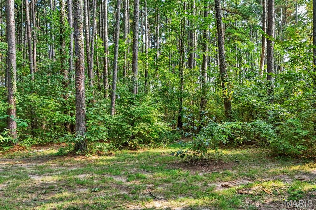 16461 Highway 63 Property Photo 28