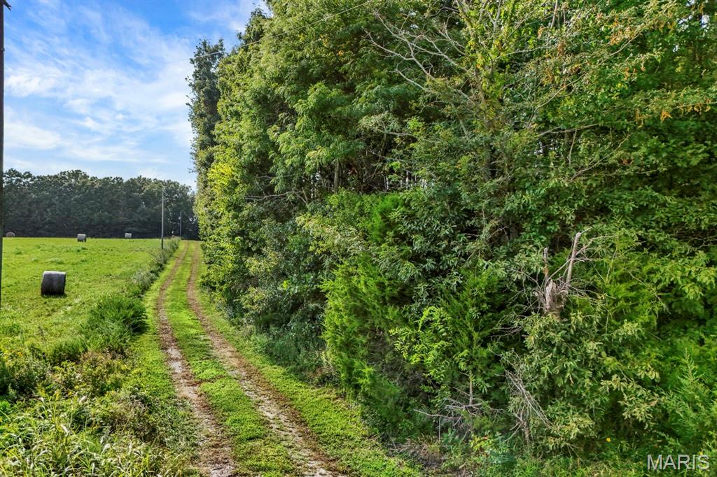 16461 Highway 63 Property Photo 30