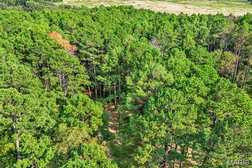 16461 Highway 63 Property Photo 35