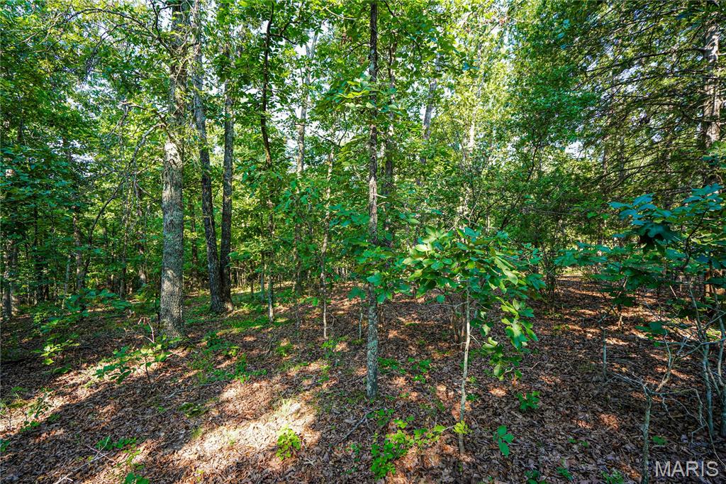 004 Bb Highway Property Photo 12