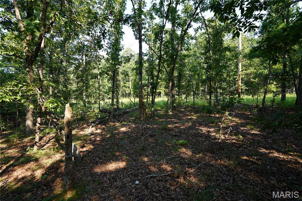 004 Bb Highway Property Photo 13