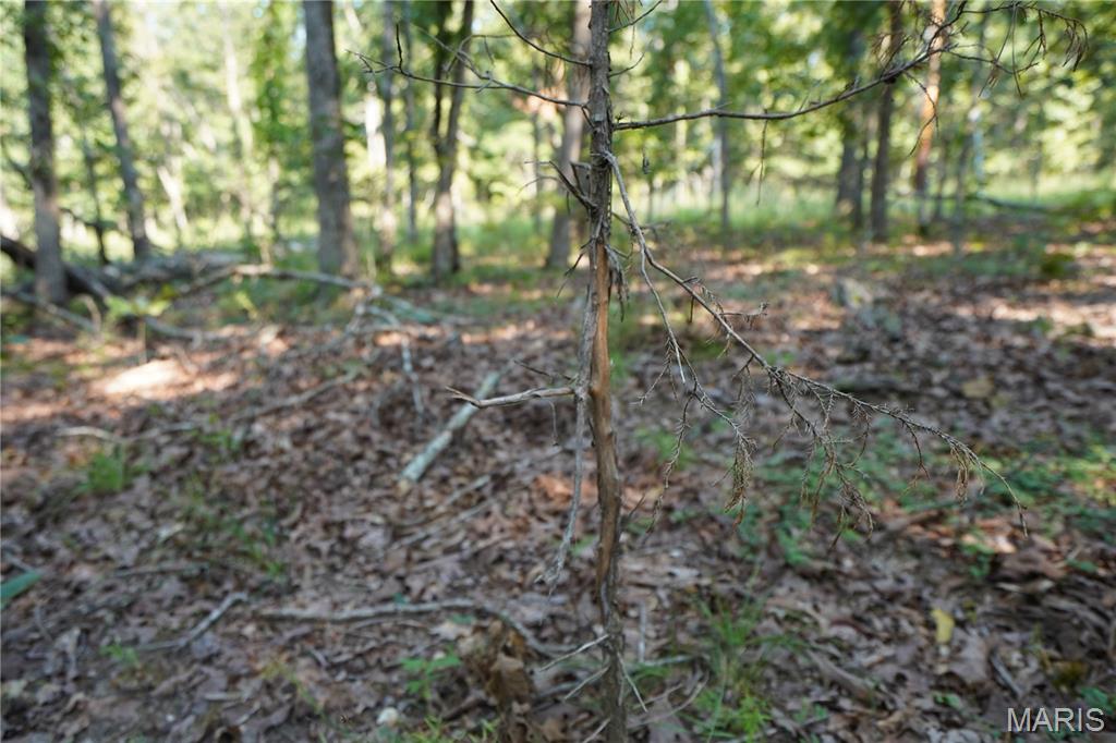 004 Bb Highway Property Photo 15