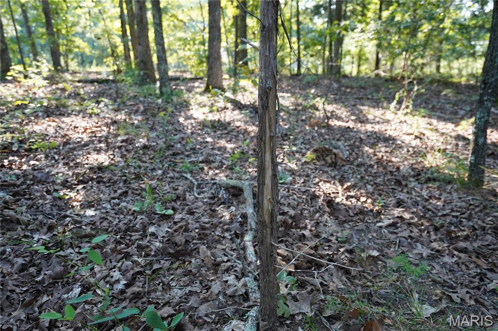 004 Bb Highway Property Photo 16