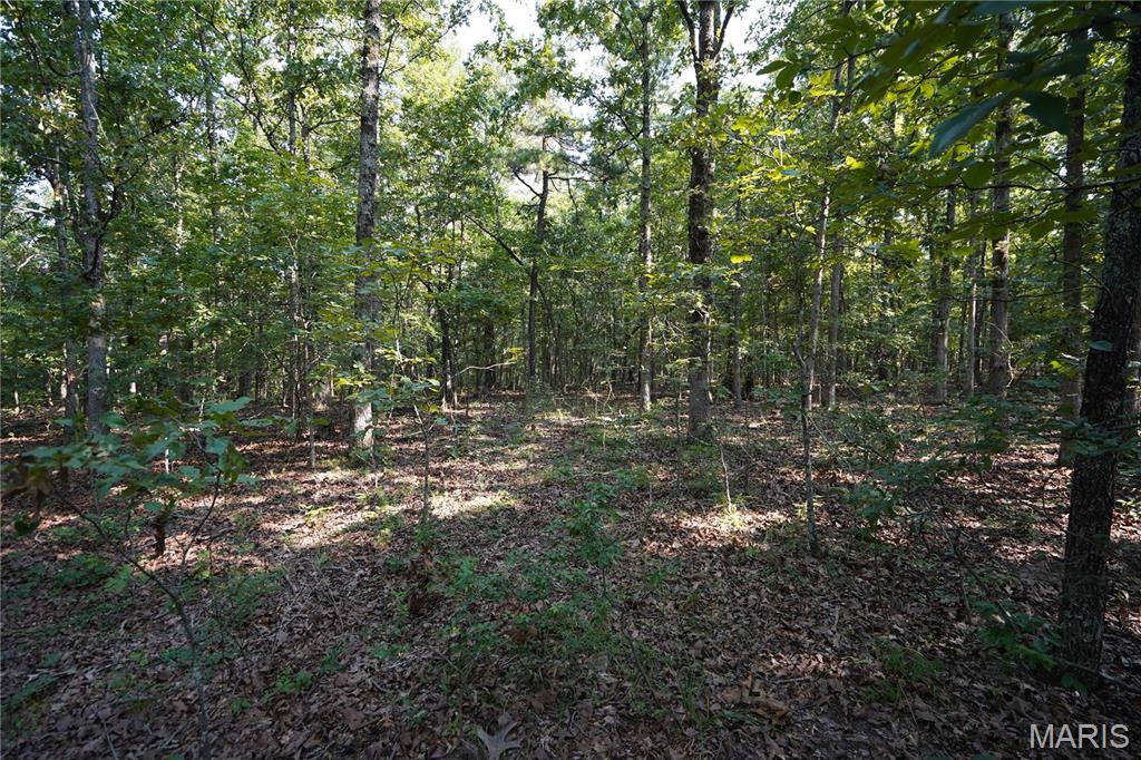 004 Bb Highway Property Photo 19