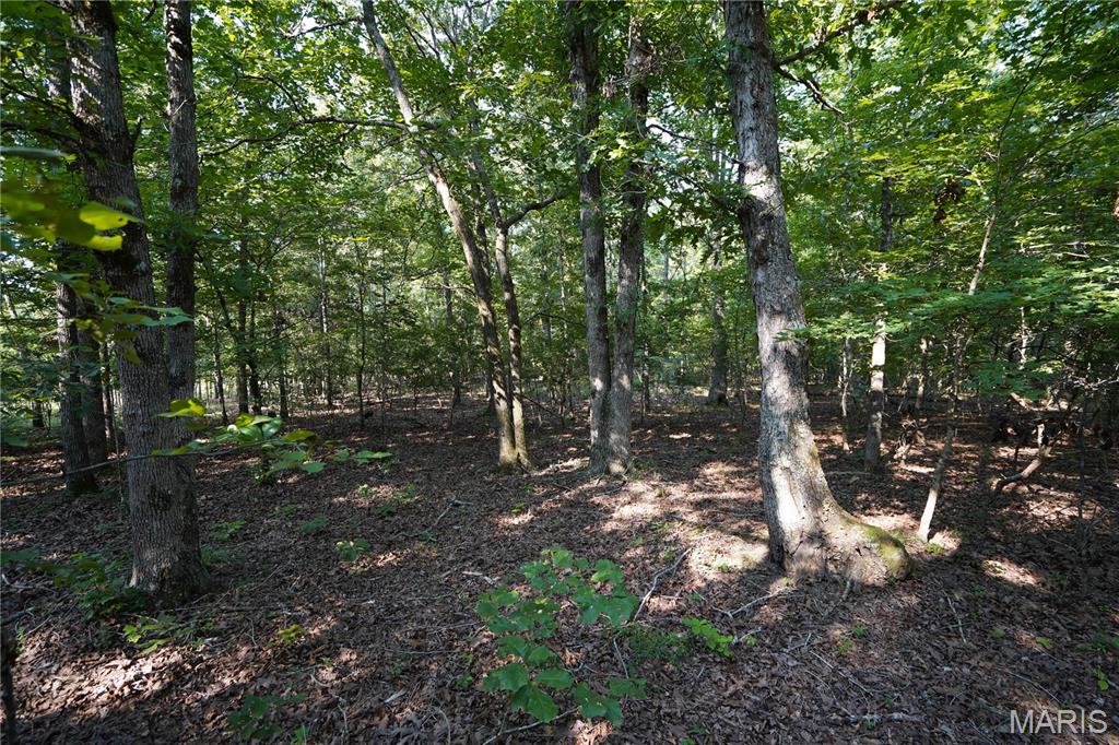 004 Bb Highway Property Photo 20