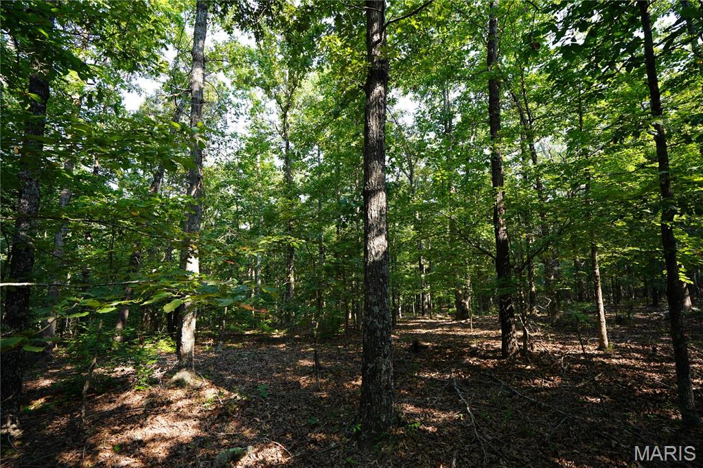 004 Bb Highway Property Photo 21