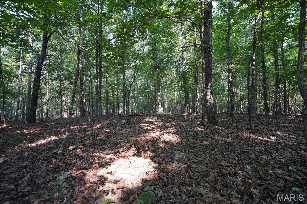004 Bb Highway Property Photo 22