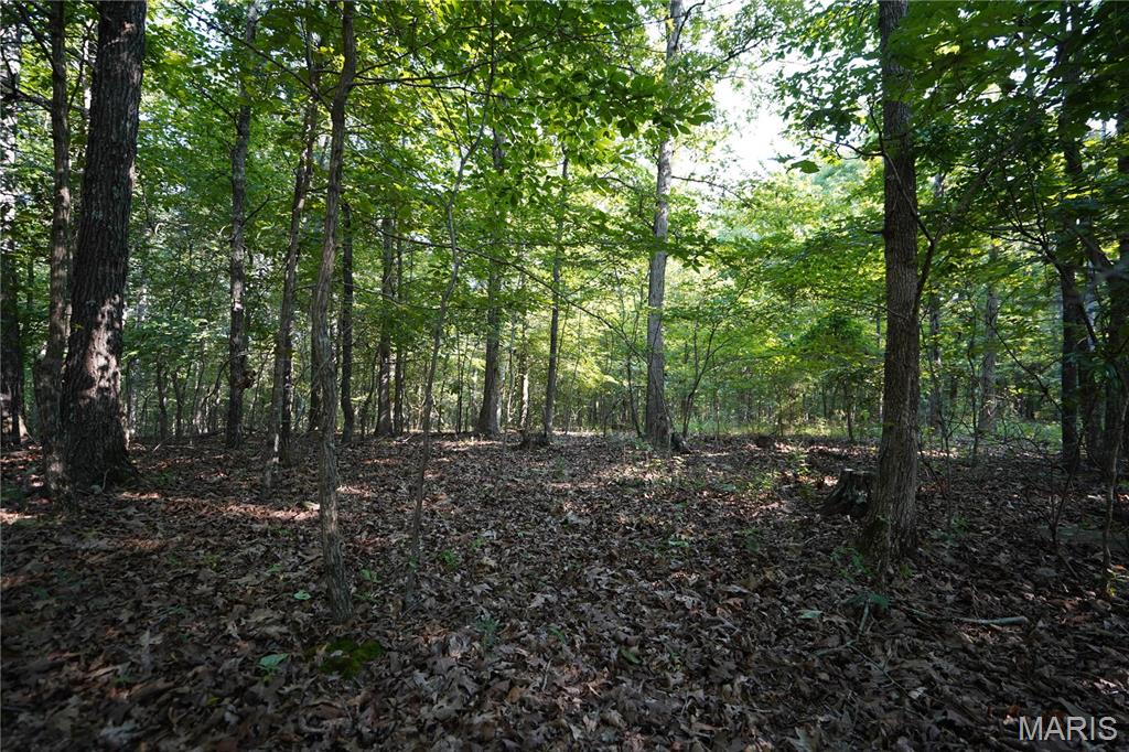 004 Bb Highway Property Photo 23
