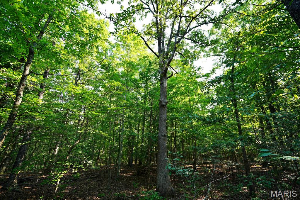 004 Bb Highway Property Photo 24
