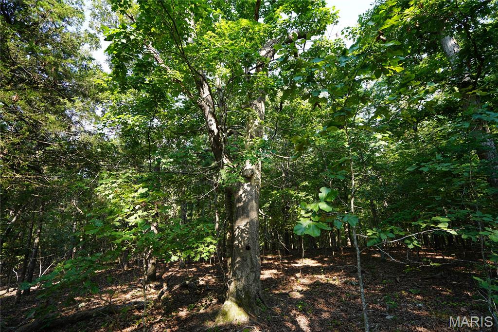 004 Bb Highway Property Photo 27