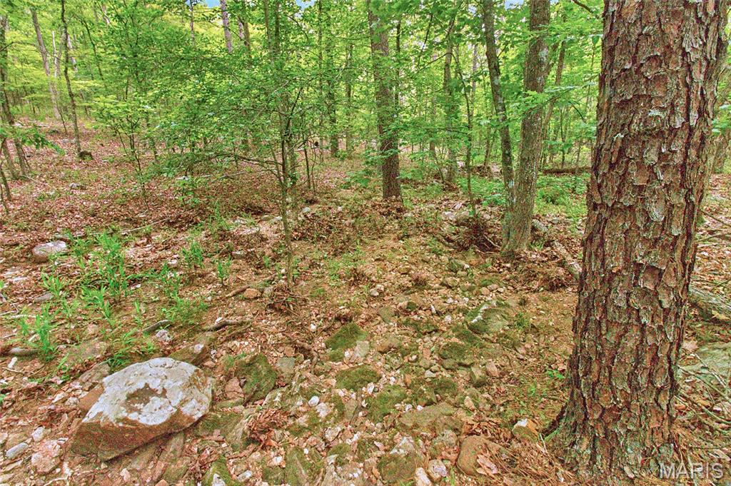 004 Bb Highway Property Photo 28