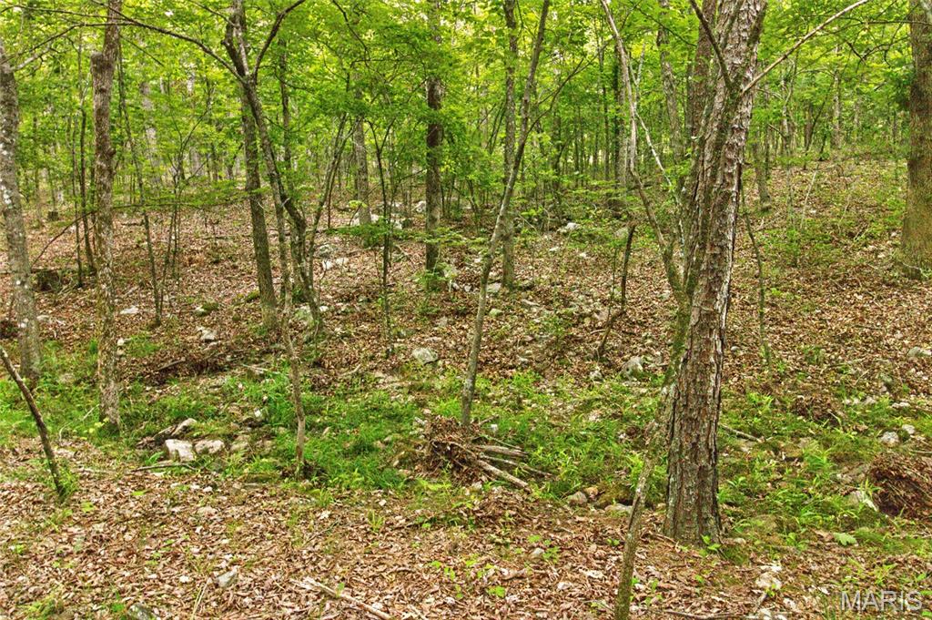 004 Bb Highway Property Photo 29