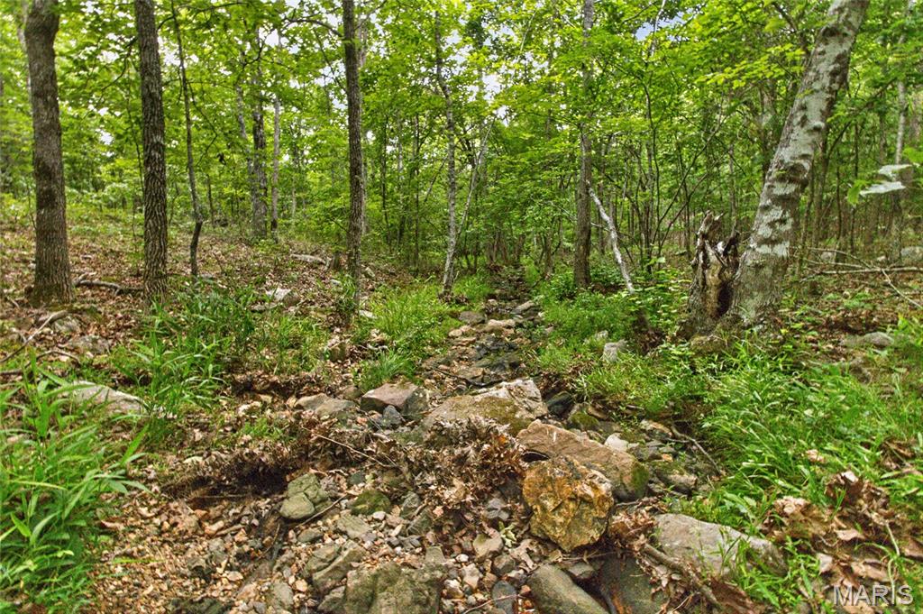 004 Bb Highway Property Photo 30